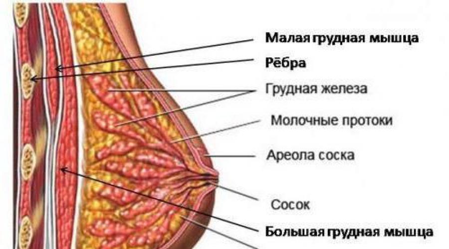 pierde greutatea sânului în mod natural)