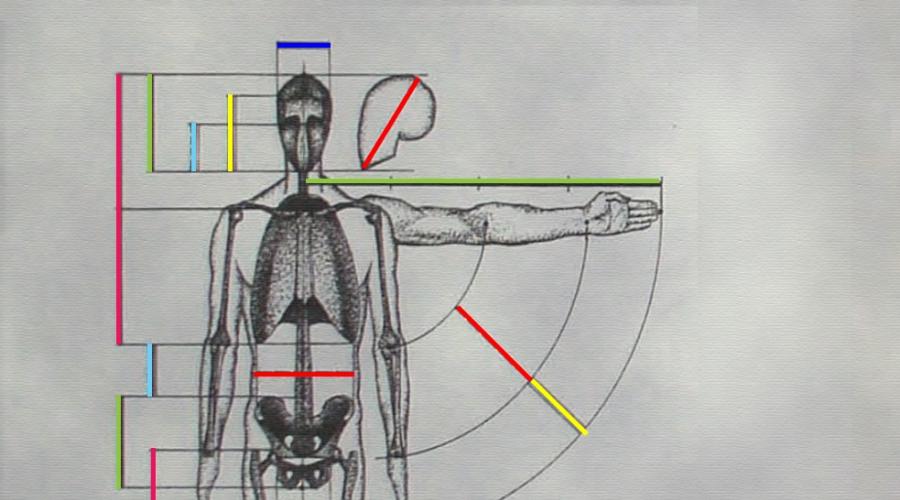 Cum să desenezi proporțiile corpului uman.  O persoană ideală într-o lume ideală