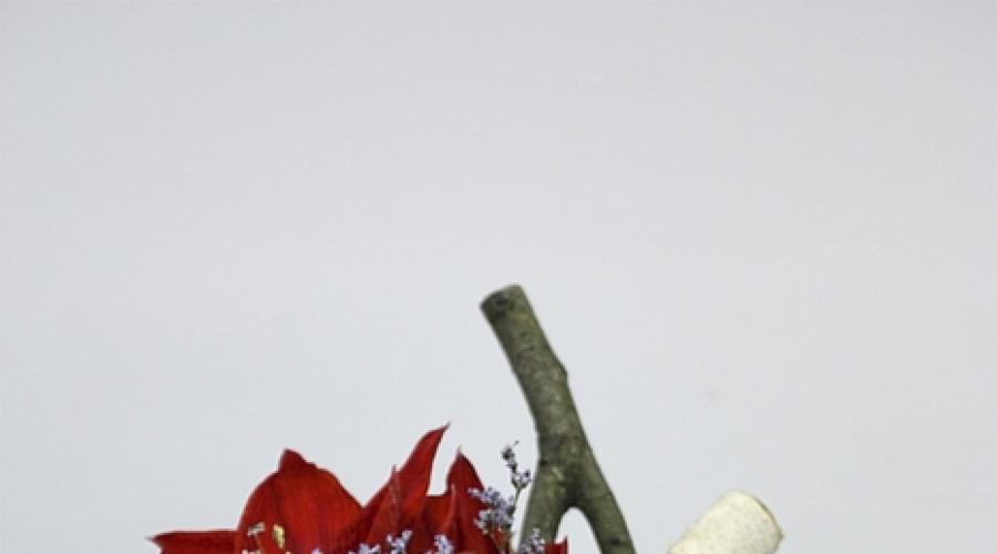 Jak vyrobit zimní kytici vlastníma rukama z přírodního materiálu?  Větve v dekorativních kompozicích Řemesla pro nový rok kytice kruté zimy.