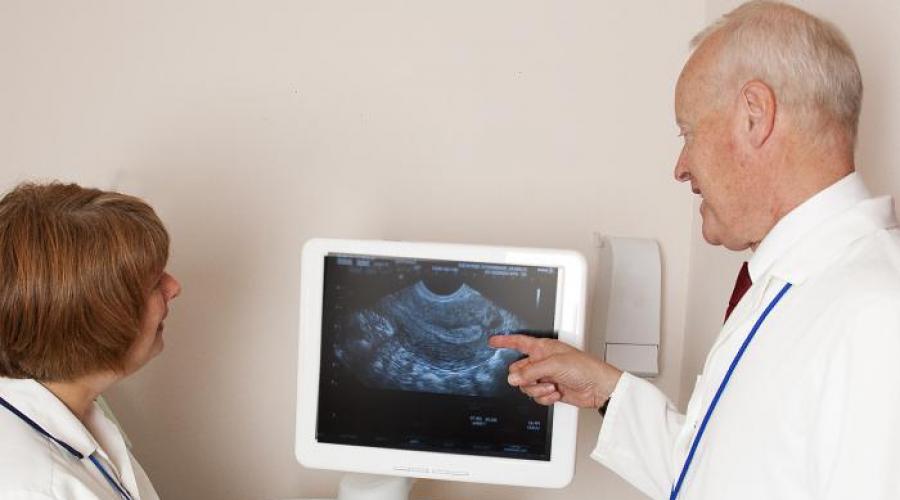 Je možné na ultrazvuku vidět raná stádia těhotenství.  Vlastnosti srdečního tepu v embryu